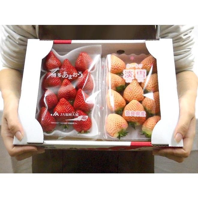 白いちご 淡雪いちご＋博多あまおう 食べ比べセット” 2pc【予約 12月