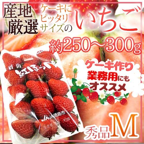 ケーキにピッタリサイズの ”いちご” Mサイズ 約250〜300g 1パック 産地
