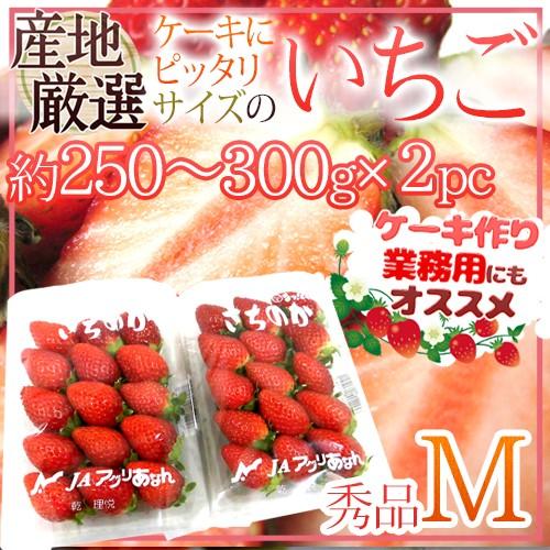 ケーキにピッタリサイズの ”いちご” Mサイズ 約250〜300g×《2pc》 産地厳選 ケーキ用/製菓用/業務用 送料無料｜kurashi-kaientai