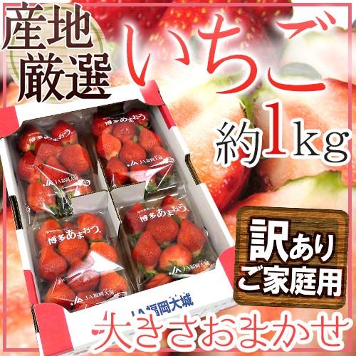 【緊急スポット】”いちご” 約1kg 訳あり 品種・大きさおまかせ 産地厳選 さちのか/紅ほっぺ/あまおう 等【2週間以内の発送】 送料無料（Yahoo!・くらし快援隊）