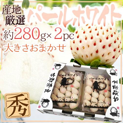 白いちご パールホワイト” 2pc (1pcあたり約280g) 産地厳選 白いちご パールホワイト” 2pc (1pcあたり約280g) 産地厳選