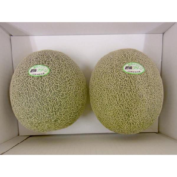 甘 い 肥後グリーンメロンの特徴と価格帯 熊本ブランド