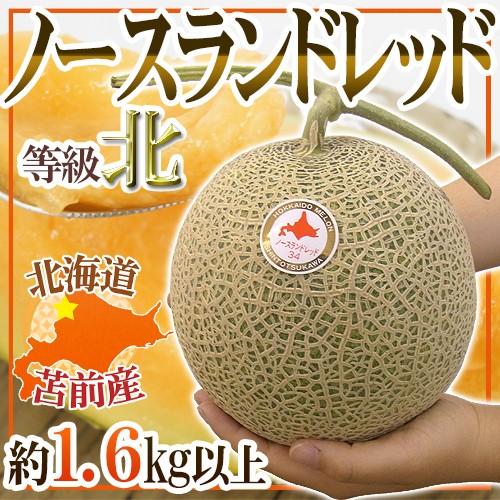 メロン JAとままえ産 ”北海道 ノースランドレッド” 等級 北 1玉 約1.6