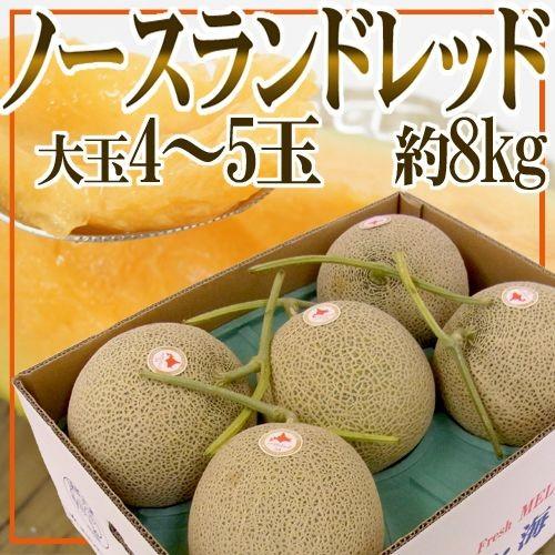 北海道産 ノースラン メロン 5個入りすこし柔らかい メロン 北海道メロン JAとままえ産 ”ノースランドレッド” 等級 北 4〜5