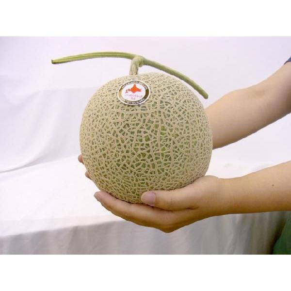 メロン 北海道メロン JAとままえ産 ”ノースランドレッド” 等級 北 4〜5