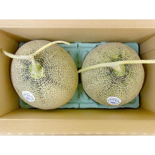 メロン 北海道メロン ”らいでんクラウン” 2玉 約3.2kg 化粧箱入り