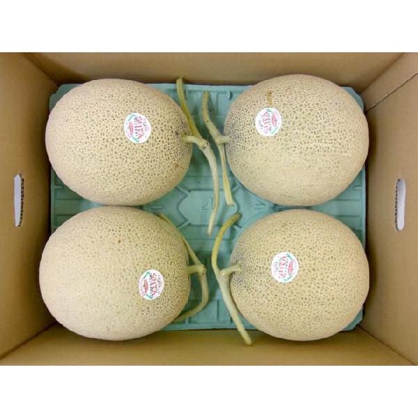メロン 北海道 赤肉メロン ”らいでんレッドメロン” 4〜5玉 約8kg