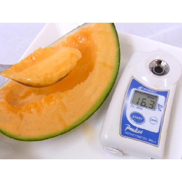 甘いレッドメロン　赤肉メロン　メロン 楽天市場】赤肉メロン ”北海道 らいでんレッドメロン” 1玉 約2kg