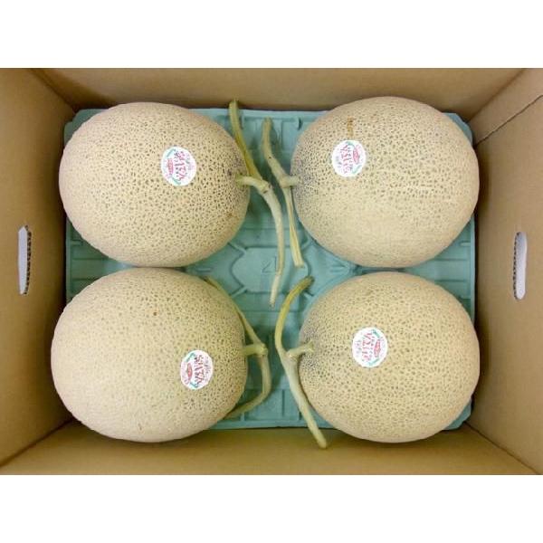 ⑮みけねこ　北海道産　赤肉メロン 北海道産 赤肉メロン2玉(超大玉) | イオン東北オンライン