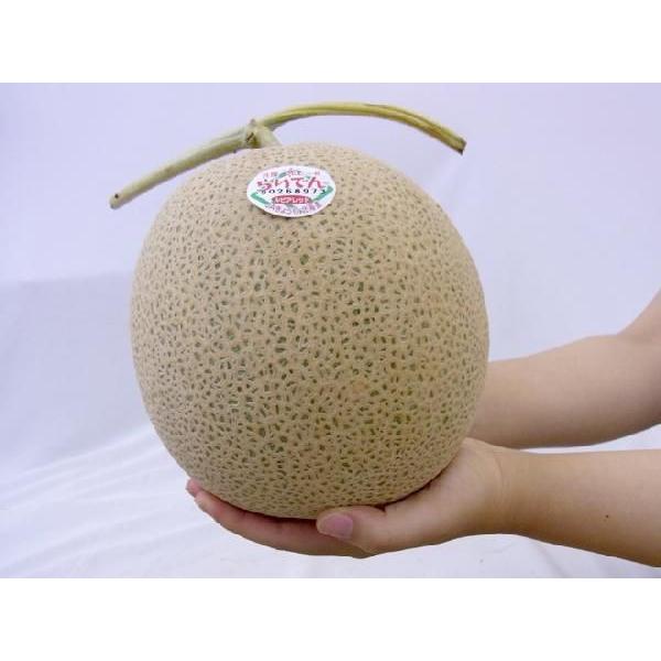 メロン メロン 北海道 赤肉メロン ”らいでんレッドメロン” 4〜5玉 約8kg