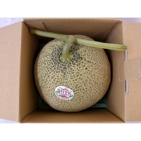 メロン 北海道 赤肉メロン ”らいでんレッドティアラメロン” 秀品