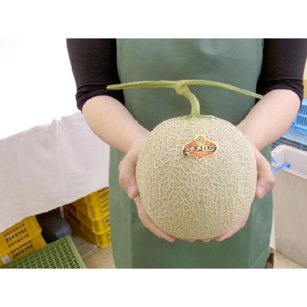 メロン 北海道 ”夕張メロン” 共撰良品 1玉 約1.6kg 化粧箱【予約 7月中下旬以降】 送料無料|kurashi-kaientai|05
