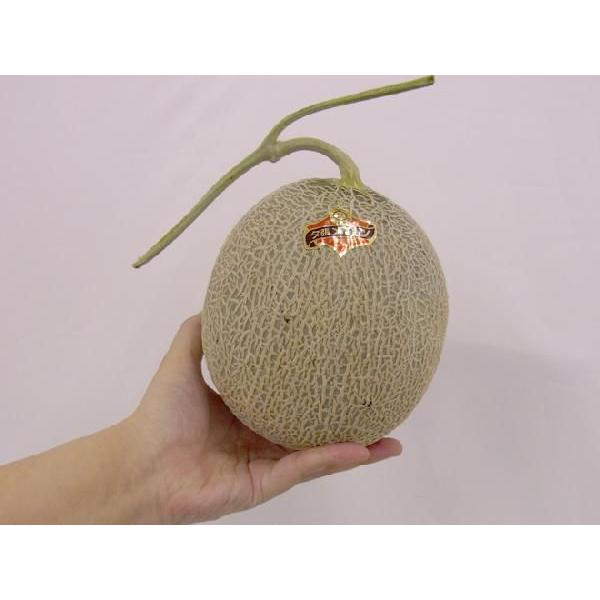 夕張メロン - 【共撰品】夕張メロン　優品6玉入　8kg Amazon.co.jp: 夕張メロン 夕張農協共撰 夕張メロン 8kg 6玉入 1