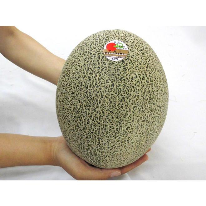 メロン 青森県 きづくり・にしきた ”タカミメロン” 秀品 超大玉3玉 約7kg以上【予約 6月末以降】 送料無料|kurashi-kaientai|03