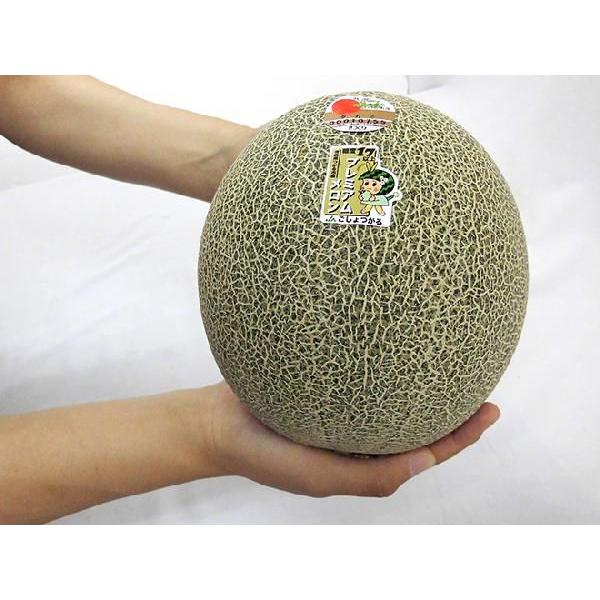 青森県産 タカミ メロン 4kg AA-4z タカミメロン 4～6玉（5～7kg）【6月頃