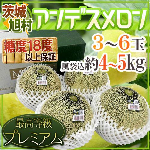 メロン JA茨城旭村 ”アンデスメロン” 最高等級プレミアム 3〜6玉 風袋