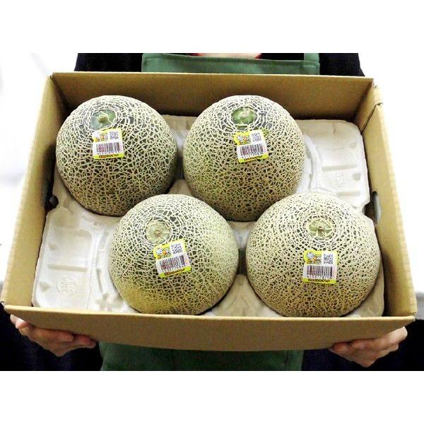 メロン 茨城県旭村 ”オトメメロン” 秀品 3〜6玉 風袋込約4〜5kg メロン 茨城県旭村 ”オトメメロン” 秀品 3〜6玉 風袋込約4〜5kg