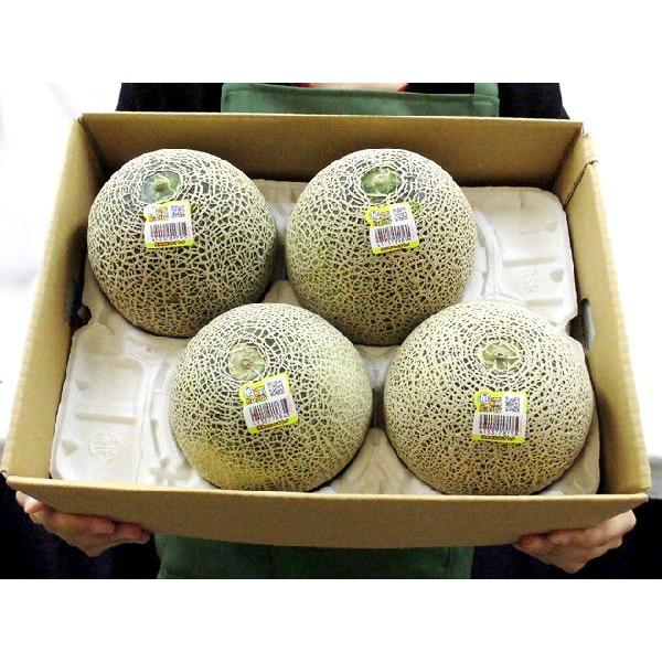 メロン 茨城県旭村 ”オトメメロン” 秀品 3〜6玉 風袋込約4〜5kg【予約 4月末以降】 送料無料｜kurashi-kaientai｜05