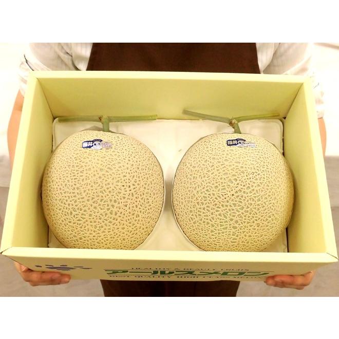 メロン 福井県 ”温室マスクメロン” 秀品 大玉2玉 約3.5〜4kg【予約 9月