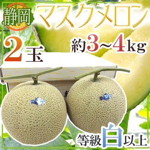 メロン 静岡県 ”マスクメロン” 等級白以上 大玉2玉 約3〜4kg【予約 6月
