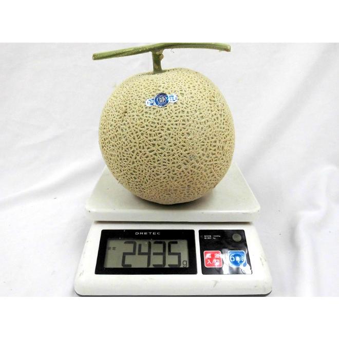 メロン 静岡県 ”マスクメロン” 等級白以上 大玉2玉 約3〜4kg【予約 6月