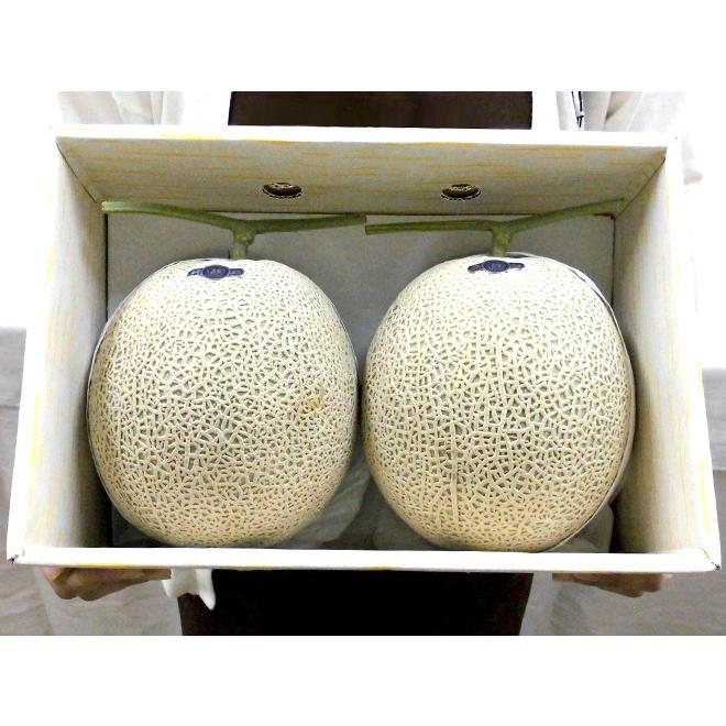 メロン 静岡県 ”マスクメロン” 等級白以上 大玉2玉 約3〜4kg【予約 6月