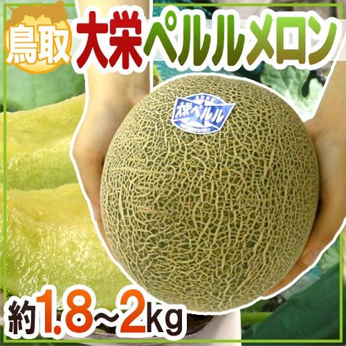 メロン 鳥取県 ”大栄ペルルメロン” 大玉 1玉 約1.8〜2kg【予約 6月下旬