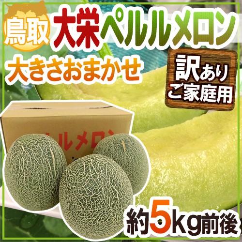メロン 鳥取県 ”大栄ペルルメロン” 訳あり 約5kg 大きさおまかせ【予約