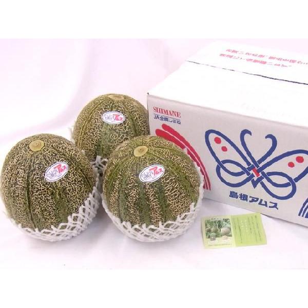 タローマン ヒグチユウコ コラボ トートバッグ ミニバッグ セット