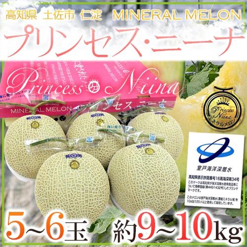 メロン 高知県 ”ミネラルメロン プリンセス・ニーナ” 5〜6玉前後 約9〜10kg【予約 入荷次第発送】 送料無料｜kurashi-kaientai