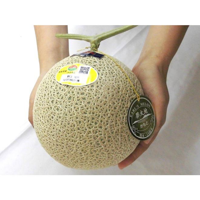 メロン 熊本県 ”くまモン箱 マスクメロン” 2玉 約3kg以上【予約 入荷