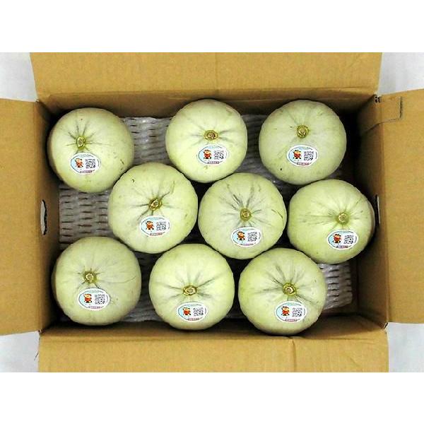 バッグ LEATHER CONVENI BUKURO -BLACK- 2025年収穫予約 夕張メロン 秀品 2玉で約2.6kg 1玉あたり約1.3kg