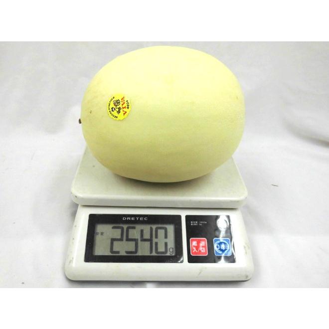 メロン ”ハネデューメロン” 5〜6玉前後 約10kg メキシコ メロン ”ハネデューメロン” 5〜6玉前後 約10kg メキシコ