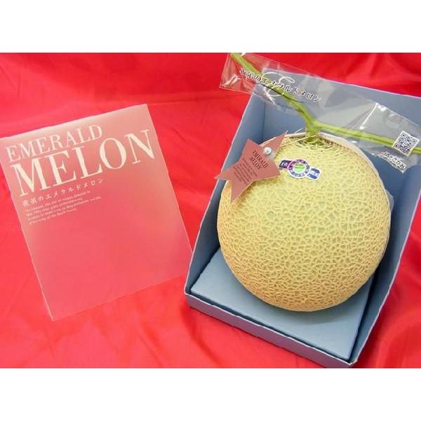 メロン 高知県夜須産 ”エメラルドメロン” 大玉 約1.8kg 専用化粧箱入り