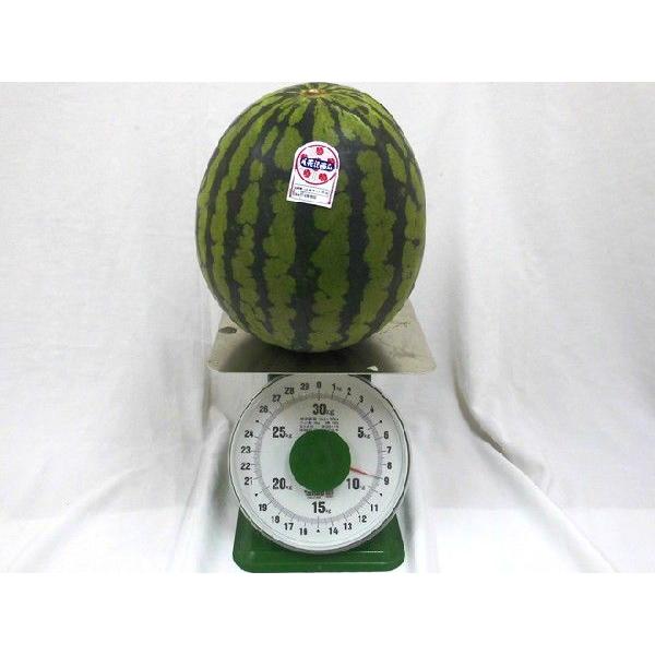 0363山形県産尾花沢大玉スイカC品4Lサイズ1箱2玉入り 0363山形県産尾花沢大玉スイカC品4Lサイズ1箱2玉入り - メルカリ