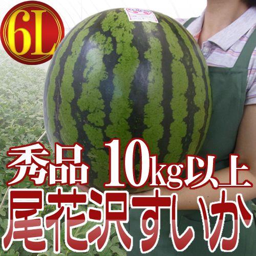 リクエスト！スイカ大サイズ✨手作り額付き作品「へい！お待ちニャンコ」 006-obana-6lc01.jpg