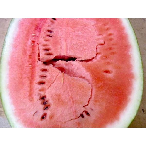 スイカさま 楽天市場】山形県産 ”尾花沢スイカ” 6Lサイズ 1玉約10kg以上