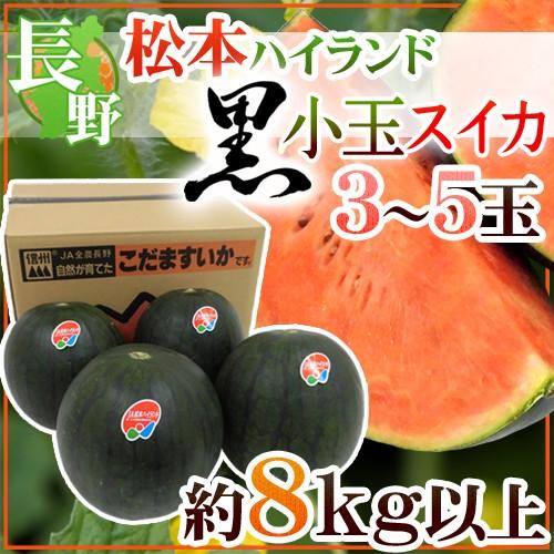 長野県 ”松本ハイランド 黒小玉すいか” 秀品 3〜5玉 約8kg以上【予約 7