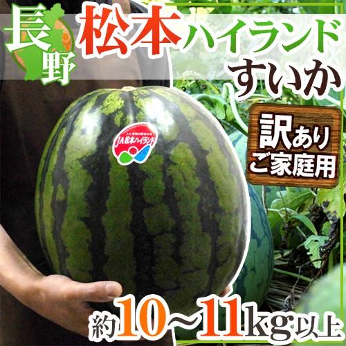 長野県 ”松本ハイランドすいか” 訳あり 約10〜11kg以上【予約 7月下旬