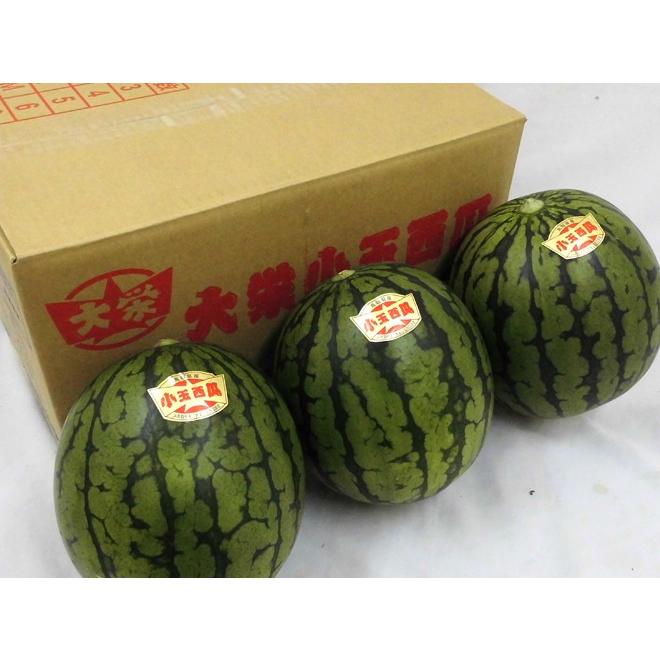 鳥取県 ”大栄小玉スイカ 姫甘泉” 3〜4玉 約8kg【予約 6月以降】 送料