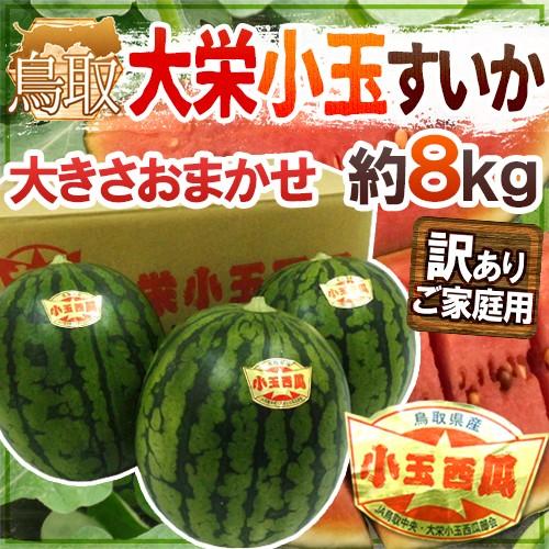 鳥取県 ”大栄小玉スイカ 姫甘泉” 訳あり 約8kg 大きさおまかせ【予約 6月以降】 送料無料｜kurashi-kaientai