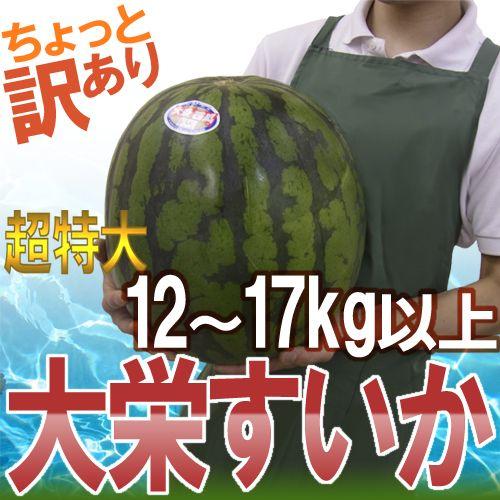 鳥取県 ”ジャンボ大栄すいか” ちょっと訳あり 特大6L 12kg以上 大栄 
