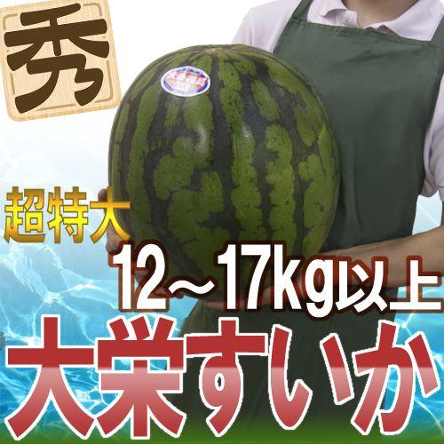 鳥取県 ”ジャンボ大栄すいか” 秀品 特大6L 約12kg以上 大栄西瓜【予約