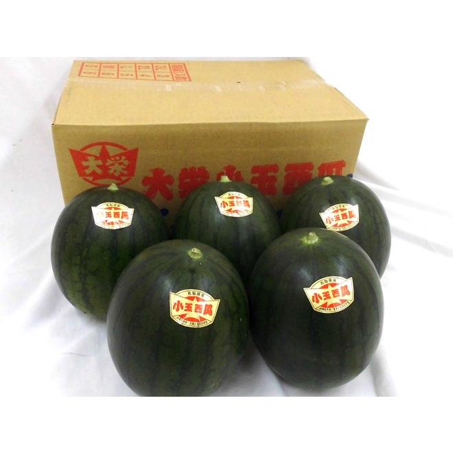 鳥取県 ”大栄黒小玉スイカ” 秀品 3〜6玉 約10kg すいか【予約 9