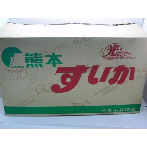 熊本県産 ”超大玉 熊本すいか” 訳あり 4L〜5Lサイズ 1玉 約9kg〜11kg