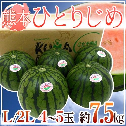 熊本産 ”小玉すいか ひとりじめ” 秀・優 L/2L 4〜5玉 約7.5kg前後