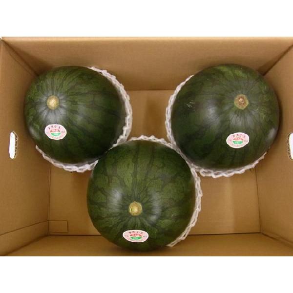 熊本県 黒皮すいか ”夢黒小玉” 秀・優品 3L 3玉 約7.5kg【予約 5月下旬