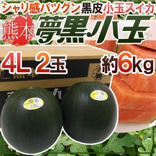 熊本県 黒皮すいか ”夢黒小玉” 秀・優品 4L 2玉 約6kg【予約 5月下旬