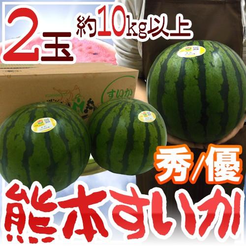 熊本県スイカ優Lサイズ2玉入り　10kg以上 熊本県 ”熊本すいか” 秀/優品 約5kg以上×2玉（合計約10kg以上）【予約