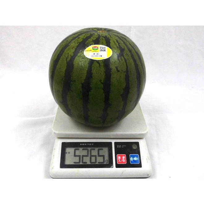 熊本県 ”熊本すいか” 秀/優品 約5kg以上×2玉（合計約10kg以上）【予約